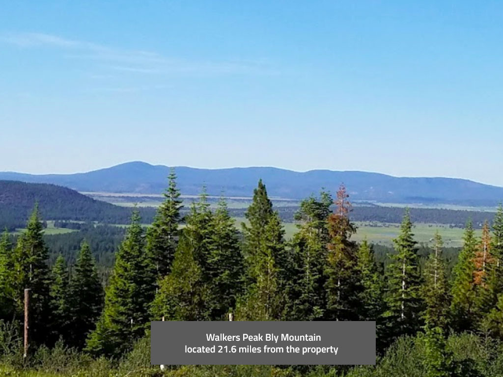 Sprawling 2 Acres in Southern Oregon1