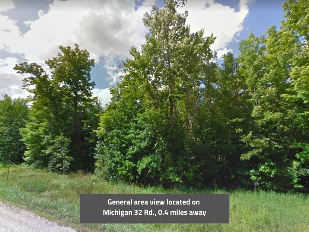 Rural Midwestern Michigan Property1