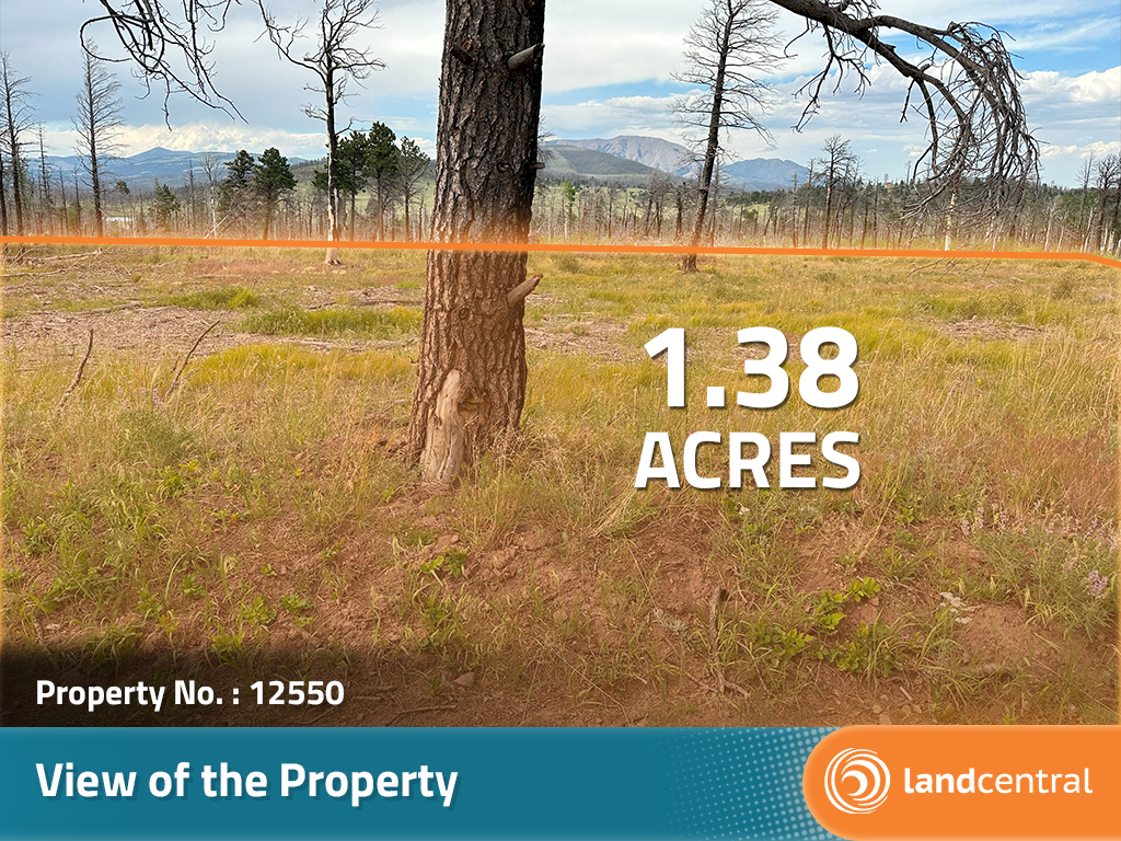 Fulfill your land ownership dreams with open spaces1