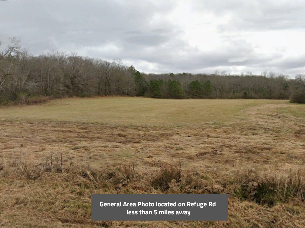 Almost half an acre just a quick walk from the Coosa River1