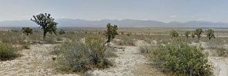 Over two and a half acres in the amazing California desert