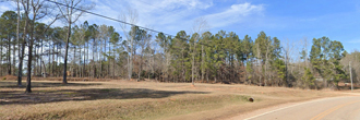 More Than an Acre of Beautiful Georgia Land