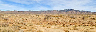 Quaint 2600 square foot property in Arizona