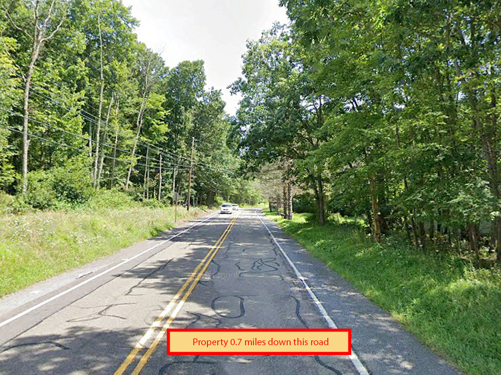 Wooded flat lot in beautiful Hickory Hills in the Pocono Mountains1
