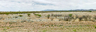 Nice sized lot in the quaint and historic town of Douglas, Arizona