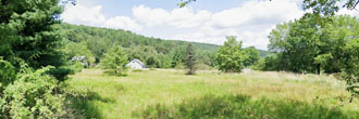 Large lot just a stones throw from the Delaware River