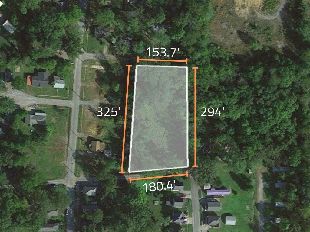Huge undeveloped parcel in the heart of Mount Vernon1