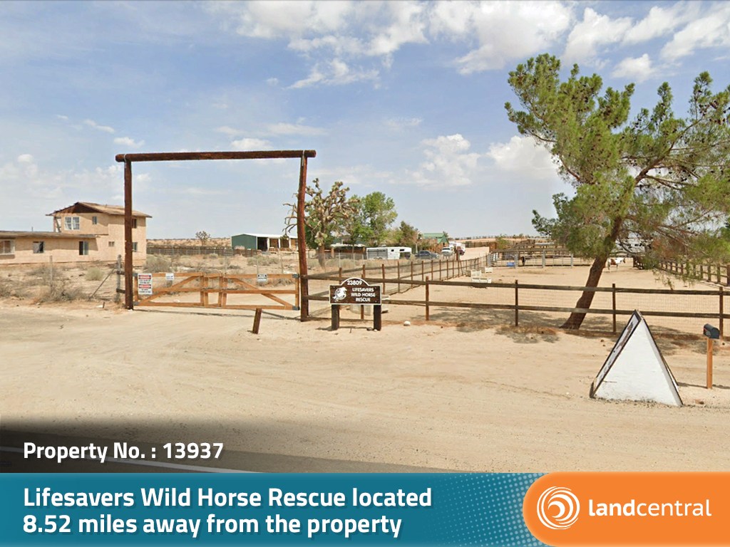 Over two and a half acres of desert beauty with plenty of privacy1