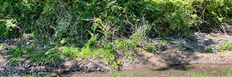 Achieve land ownership in Eastern Alabama
