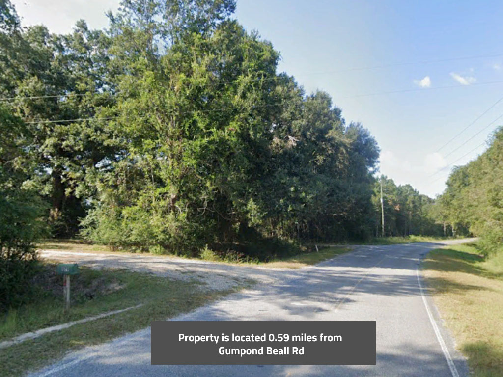 Large property less than an hour from the Gulf of Mexico1
