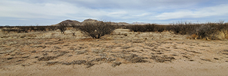 Large Corner Lot in Beautiful Arizona Desert