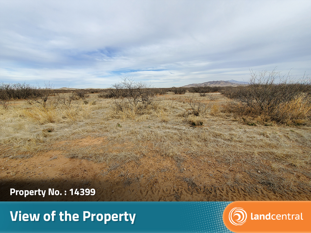 Interesting Info About Desert Land For Sale