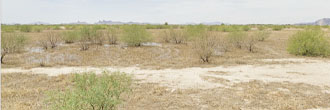 Nice property on a quiet road near the edge of a beautiful town