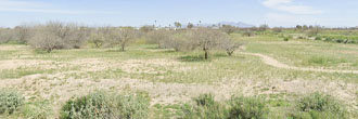 Nice sized lot in a growing yet quiet community outside of Phoenix