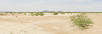 Rich Desert Land Near Arizona City