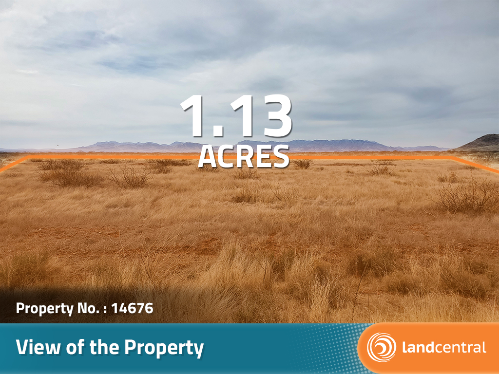 Large property outside the city of Willcox surrounded by open land1