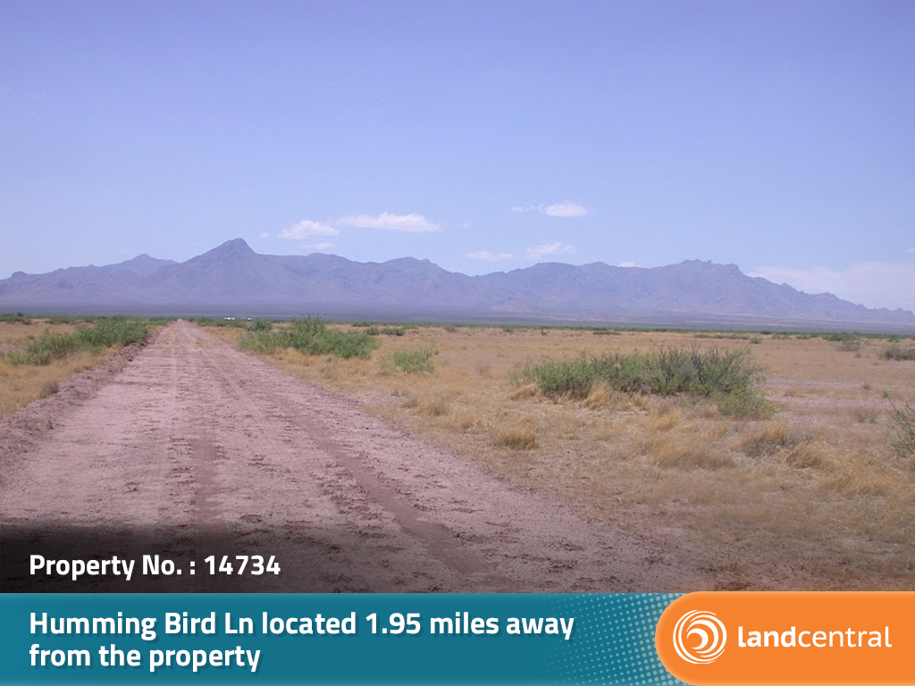 A half acre lot outside of the vibrant town of Deming, NM1