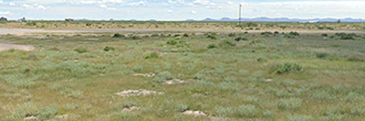 Adventure on in Southern New Mexico