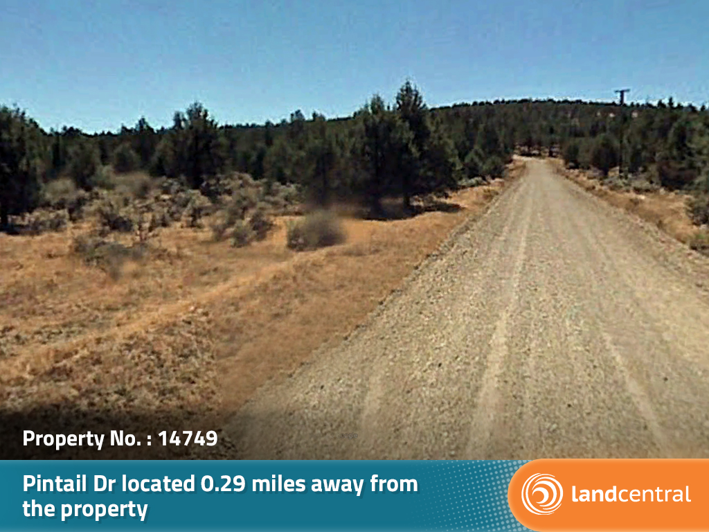 Large corner lot just outside the gorgeous Modoc National Forest1