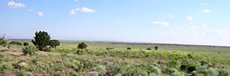Five Acres of Land Between St. Johns and Interstate 40