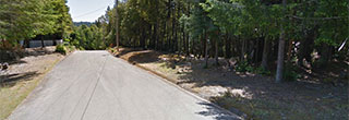 Lovely Green Hideaway in Friendly California Community