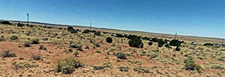 One Acre Refuge Less than 10 Minutes from St. Johns