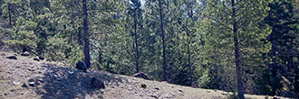 Sloped Lot in Great Willits Neighborhood