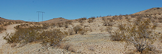 Ten Acres of Land Less than 13 Miles from Barstow