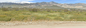 A peaceful plot of land off the beaten path but still close to the city