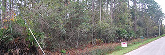 Nice Treed Property in East Palatka near St. Johns River
