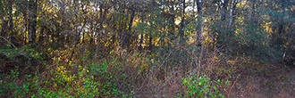 Residential Lot Near an Abundance of Lakes