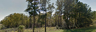 Trinity Texas Acreage on Dead End Street