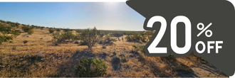 Almost two acres of gorgeous desert land outside of the city