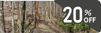 Large property tucked away in the peacefulness of the woods