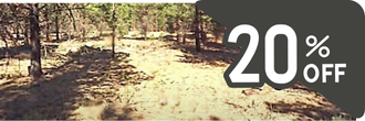 An amazing 40 acre lot awaiting all the plans you could have