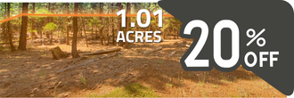 Just over an acre of secluded beauty in the gorgeous pines of CA