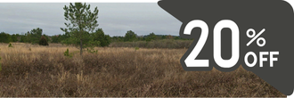 Large property on the outskirts of a peaceful town