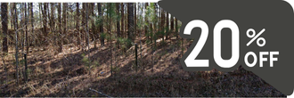 Nice property in a sweet community walking distance to the lake