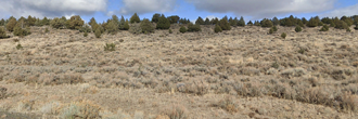 20 Acre Rural Getaway About Half an Hour from Ravendale Airport