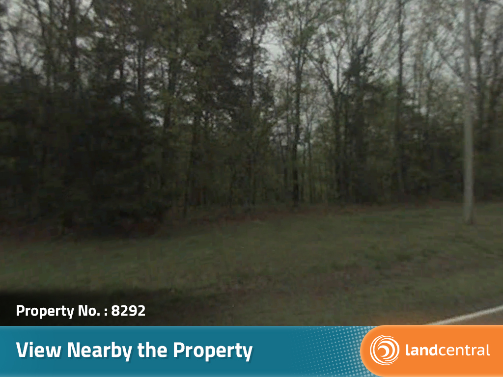 Beautifully treed property in a quiet town on Greers Ferry Lake4
