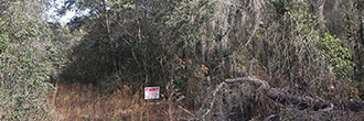 Treed property in a Quiet Neighborhood Close to Beaches