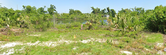 Waterfront Property Near Panama City