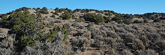 Treed Rolling Southern Colorado Acreage