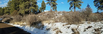 Two Acre Land Just North of Hwy 160 in Southern Colorado