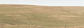 40 acres of stunning land full of potential in beautiful Montana